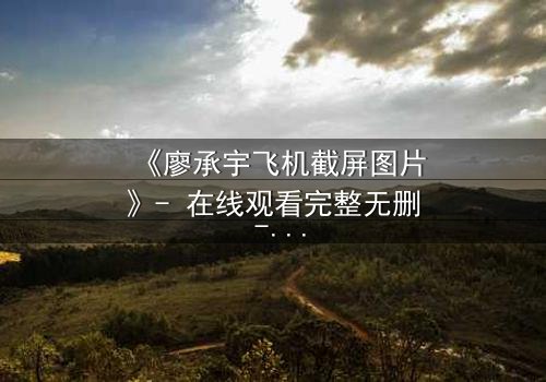 《廖承宇飞机截屏图片》- 在线观看完整无删 - 一张截图引发的惊天秘密