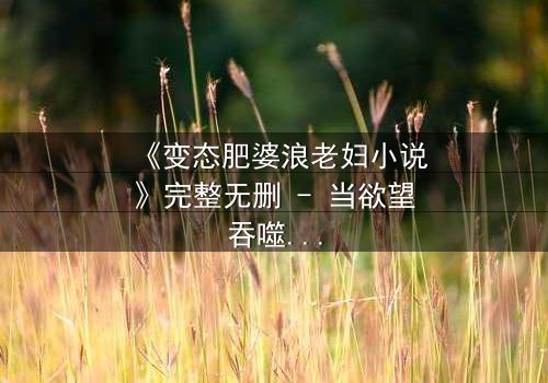 《变态肥婆浪老妇小说》完整无删 - 当欲望吞噬理智,谁在黑暗中狂笑?