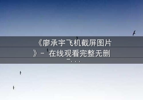 《廖承宇飞机截屏图片》- 在线观看完整无删 - 一张截图引发的惊天秘密