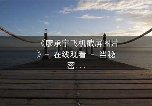 《廖承宇飞机截屏图片》- 在线观看 - 当秘密截屏引爆高空生死危机