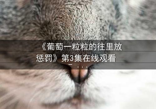 《葡萄一粒粒的往里放惩罚》第3集在线观看 - 当甜蜜变成残酷的折磨