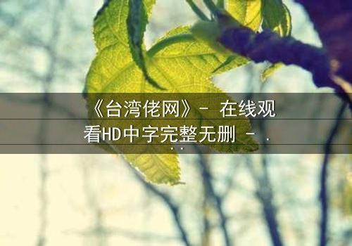 《台湾佬网》- 在线观看HD中字完整无删 - 揭秘台湾黑帮的隐秘江湖