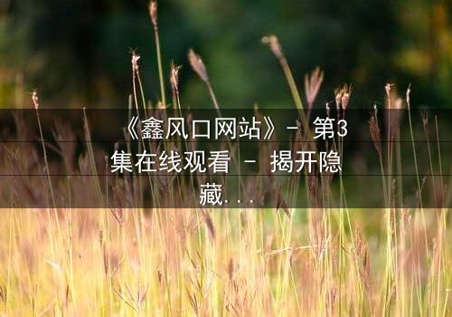 《鑫风口网站》- 第3集在线观看 - 揭开隐藏在屏幕背后的致命交易