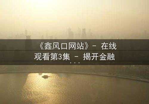 《鑫风口网站》- 在线观看第3集 - 揭开金融风暴背后的致命交易