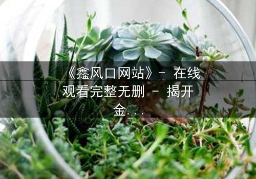 《鑫风口网站》- 在线观看完整无删 - 揭开金融风暴背后的致命秘密