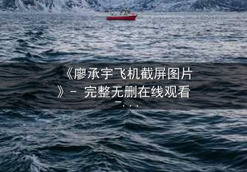 《廖承宇飞机截屏图片》- 完整无删在线观看 - 一张截图引发的生死迷局