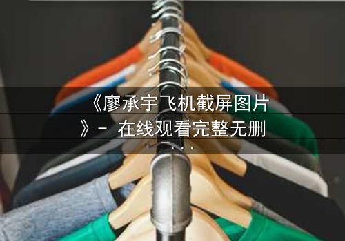 《廖承宇飞机截屏图片》- 在线观看完整无删 - 一张截图引发的惊魂迷局