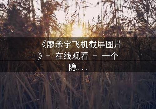 《廖承宇飞机截屏图片》- 在线观看 - 一个隐藏的真相即将引爆网络